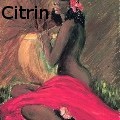 Ione Citrin -  - Paintings